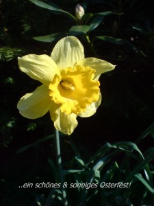 Flower-1-225x300 in Ostern 2011!