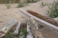 sammlung-strand-1_0